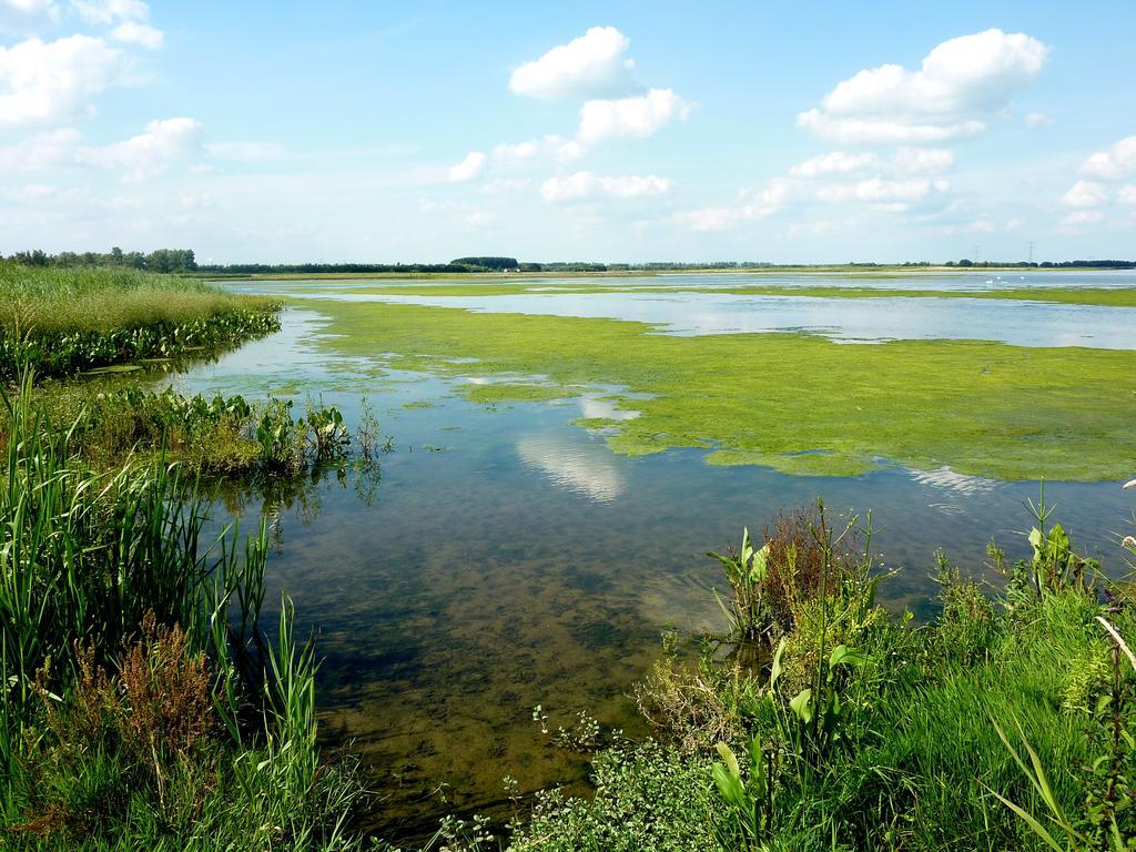 Hotel De Brabantse Biesbosch Werkendam Zewnętrze zdjęcie