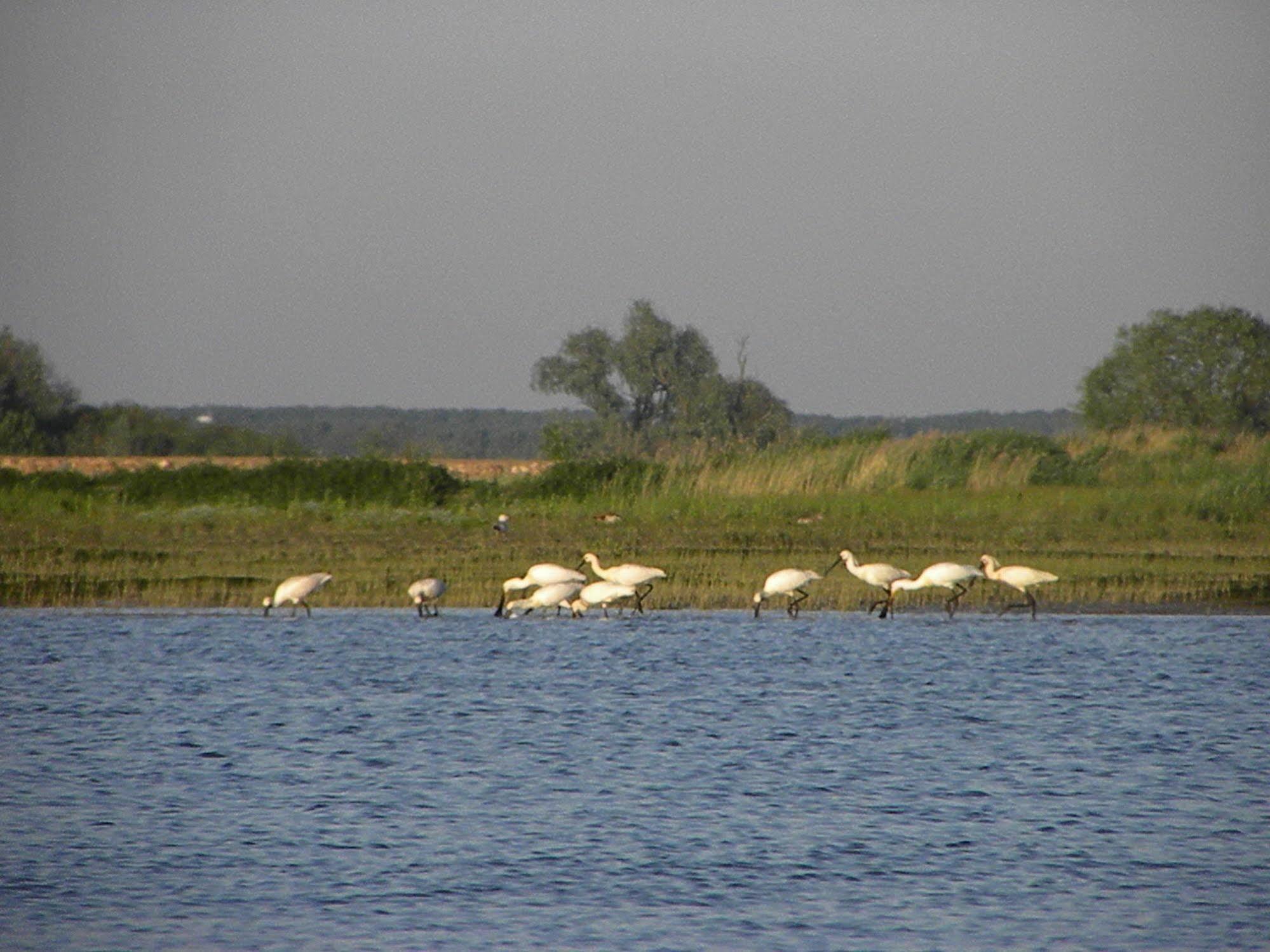 Hotel De Brabantse Biesbosch Werkendam Zewnętrze zdjęcie